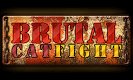 BrutalCatfight