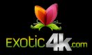 Exotic4K