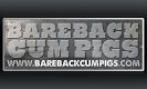 BarebackCumPigs