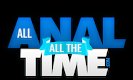 AllAnalAllTheTime