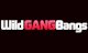 Wild GangBangs