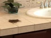 Jenni shows off 12/16