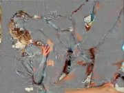 Viktorie and Sharka Blue in hot action 13/16