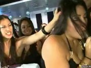 Lots of solo girls and one dick