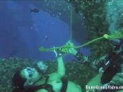 Fucking divers 11/16