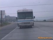 A trailer is better for more chicks 16/16