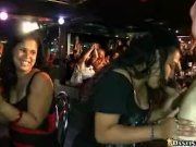 Dancing bear gets his cock sucked 11/16