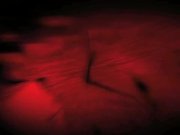 These babes get down in hot groupsex 1/16