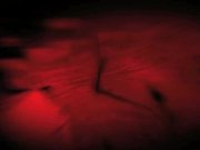 Amy brooke is one nasty little slut! 1/16