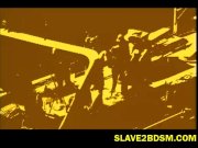 Swinger life of Anna Malle 14/16