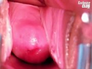 Terra Joy pussy spectrum examination 15/16