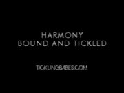 Harmony bound and tickle 1/16