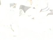 Harmony bound and tickle 14/16