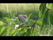 Lesbian games on the lawn  1/16