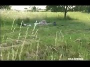 Lesbian games on the lawn  2/16