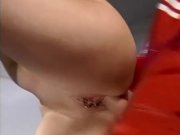 Cock fitness test  8/16