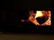 Carlo and friends 2 5/16