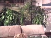 Swinger party shot on hot movie 11/16