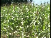 French slut doing anal sex outdoor in 3some 7/16