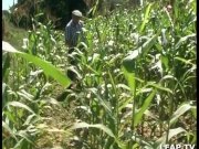 French slut doing anal sex outdoor in 3some 9/16