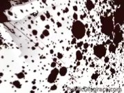 Slut gangbanged in a barber shop  1/16