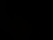 Cock hungry asian slut 12/16