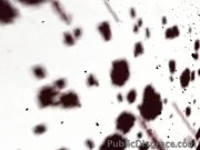 Euro girl takes dick in public  11/16