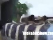 ebony fucker wife sextape 15/16