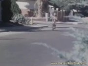 Weekend cowgirl blowjob  16/16