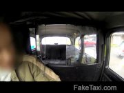 Stunning thief pays the price   1/16