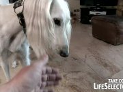 Perfect weekend pick-ups  16/16