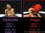 Dragon battles the Ninja 1/16
