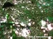 Daring outdoor fist fucking amateur sluts 3/16