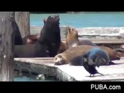 London Keyes San Francisco BTS part 2 9/16