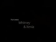 Nubile Films - Lesbians are better at making love  2/16