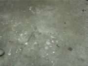 Blondes fights at work- one gets fuck penalty 3/16