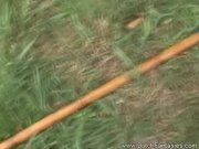 Holland sexual fun times 5/16