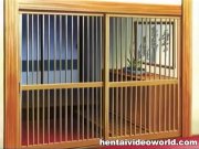 Hentai lesbians convulse in approaching orgas 2/16