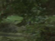 Class-blowjob.com- Tina Blade & Beata Undine  9/16