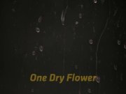 Blonde cutie fucked and rinsed with pee 1/16