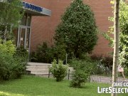 The Fallen Girl 2/16