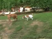 PUBLIC show by wild czech teen 14/16