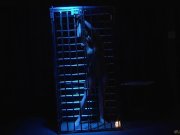 Beautiful Willa rough utilized in the attick 1/16