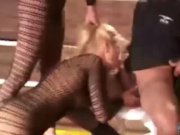 Babes in catsuits catfighting in a ring box 7/16