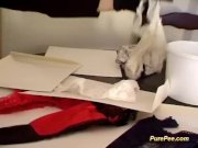 Extreme pissing 6/16