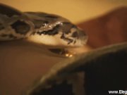 Indian MILF Babes Compilation 6/16