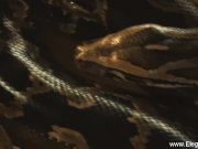 Indian MILF Babes Compilation 8/16