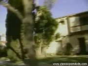 Vintage Porn Erotic Seventies Legends 1/16