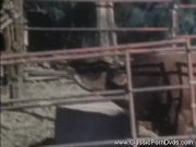 Classic Pornstar becomes Weekend Cowgirl 15/16