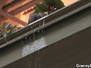 Young stud bangs 60 years old woman 4/16